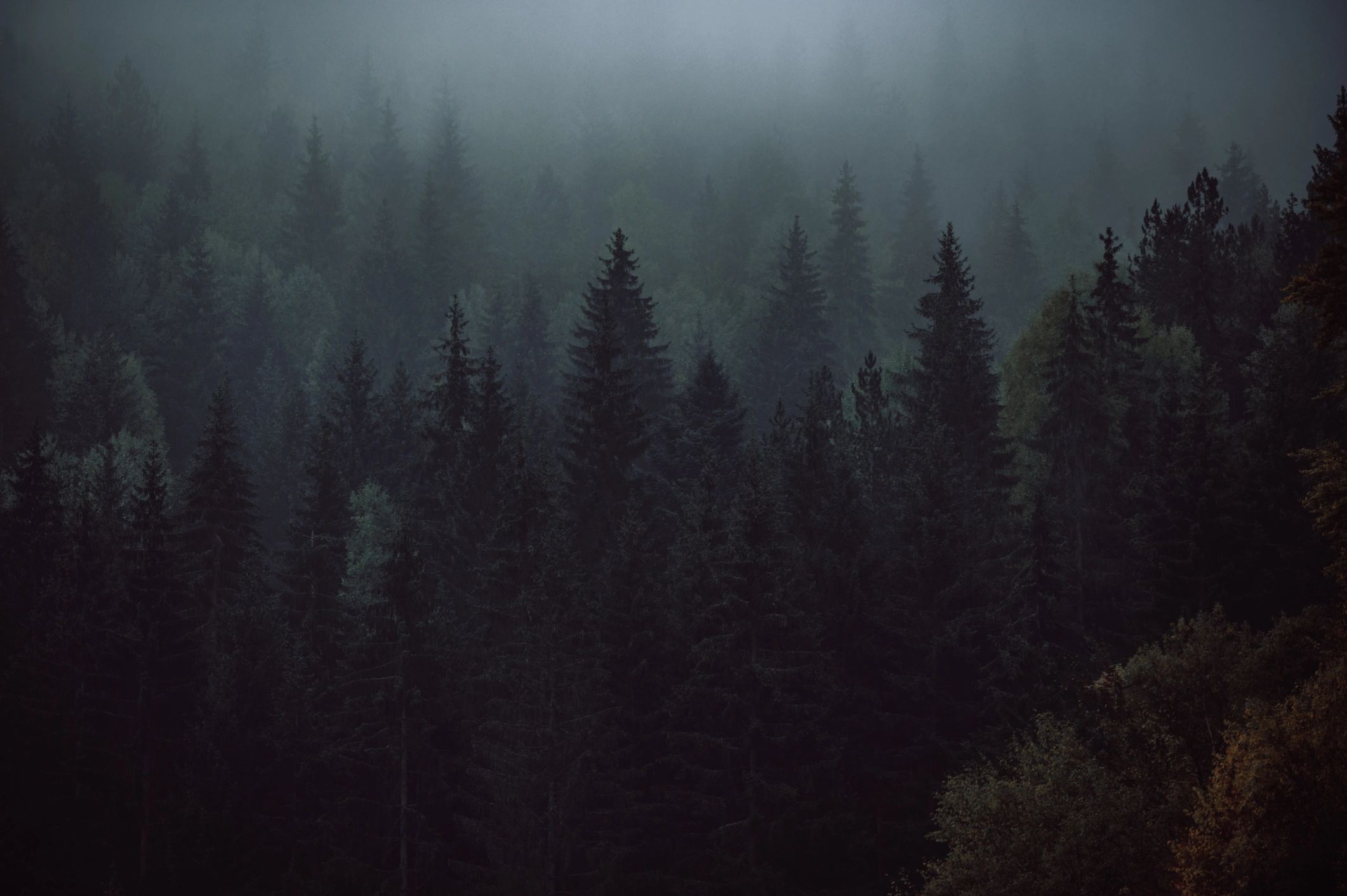 Feature 1 image